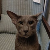 Telegram profile photo for Империя Муси