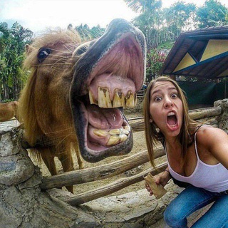 Telegram profile photo for Прикольное Видео