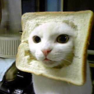Telegram profile photo for breadcat portal