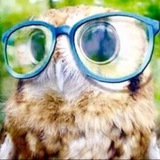 Telegram profile photo for owleeng