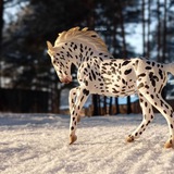 Telegram profile photo for кск HORSE TIME❄️