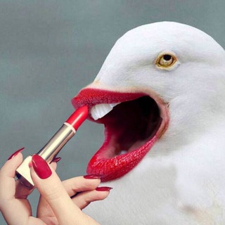 Telegram profile photo for i want to pee pee