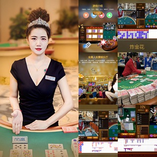 Telegram profile photo for 迪拜/线上开户/新盛娱乐/金沙娱乐/电子/百家乐