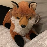 Telegram profile photo for Верховный Совет Файнота🦊