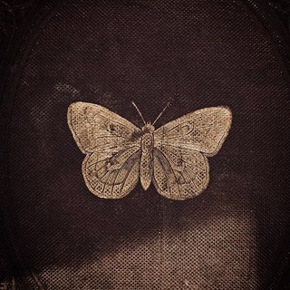 Telegram profile photo for Forest of twinkling fire flies