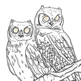 Telegram profile photo for Shiny trades