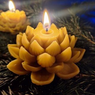 Telegram group profile photo for Кладовая "ЯНТАРЬ.АЛТАЯ"