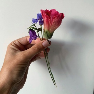 Telegram profile photo for Влюбленная в руки .