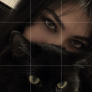 Telegram profile photo for 𝙎𝙖𝙞𝙧𝙚𝙣𝙩𝙤