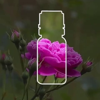 Telegram profile photo for dōТЕRRА Asia в России 🌿exclusive