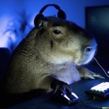 Telegram profile photo for shader - cs 2