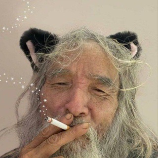 Telegram profile photo for total shit