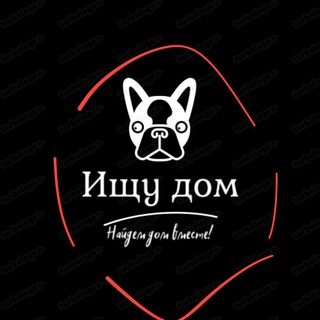 Telegram profile photo for Животные ищут дом!❤️Хвостики.