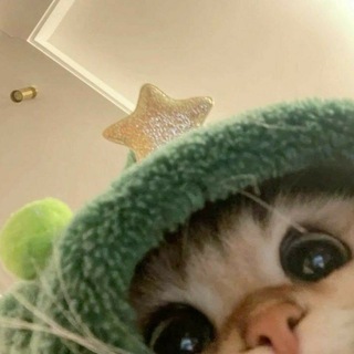 Telegram profile photo for طَيف.