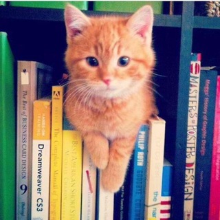 Telegram profile photo for логово книгоеда