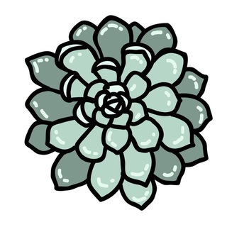 Telegram group profile photo for Суккуленты Чат 🌵