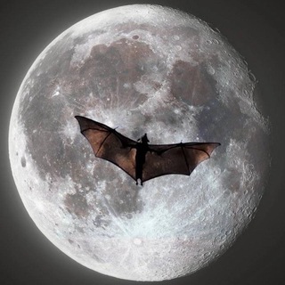 Telegram profile photo for адвокат дьявола