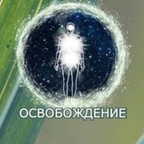 Telegram profile photo for Биодинамика