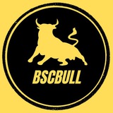 Telegram profile photo for BSCBull PORTAL