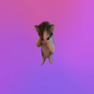 Telegram profile photo for yepyep