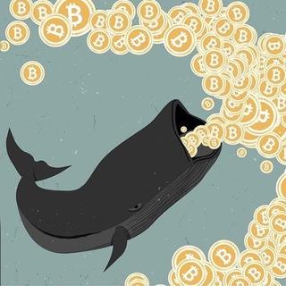Telegram profile photo for ЧO₿ITOK