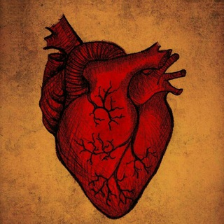 Telegram profile photo for Medical insight
