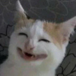 Telegram profile photo for استكرات حيدر