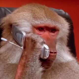 Telegram profile photo for Манки Cards