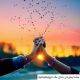 Telegram profile photo for کلیپ...عاشقی