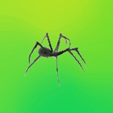 Telegram profile photo for Big Spider Telegram Features