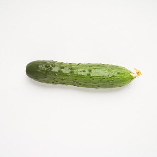 Telegram profile photo for 🥒 / огуречное агентство