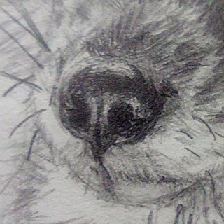 Telegram profile photo for художник норд