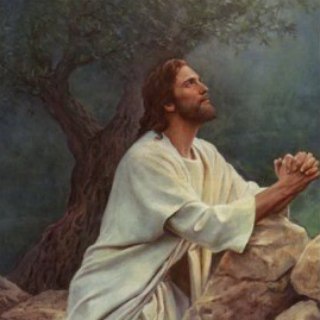 Telegram profile photo for پرسش از مسیحیت