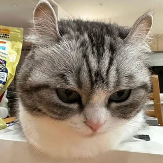 Telegram profile photo for Week With Blog