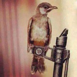 Telegram profile photo for ﭑلہۧﹻٰ۫شہۧﹻٰ۫يہۧﹻٰ۫خ