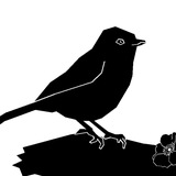 Telegram profile photo for Дурачок и пустота
