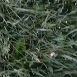 Telegram profile photo for Таро гадания привороты 🪬 отношения