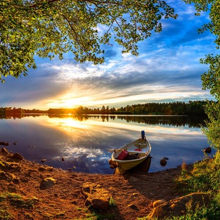 Telegram profile photo for Отдых в Москве и окрестностях