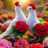 Telegram profile photo for 🌺❤️💥АФСОНА💥🌺❤️