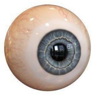 Telegram profile photo for ПЕРЕЕЗД Лизыч | АРХИВ
