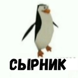 Telegram profile photo for сырник