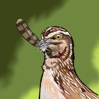 Telegram profile photo for Перепел-Ястребятник