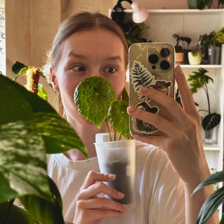 Telegram profile photo for plantlifee.e | Комнатные растения
