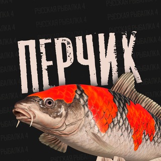 Telegram profile photo for Перчик РР4 | Русская рыбалка 4
