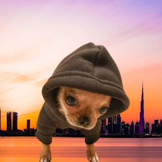 Telegram profile photo for Doginhood | Portal