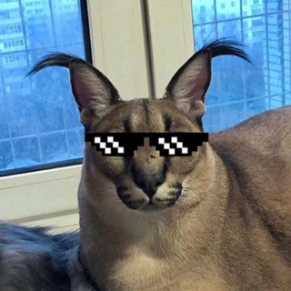Telegram profile photo for Big Flatmappa