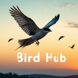 Telegram profile photo for Птицы - BirdHub