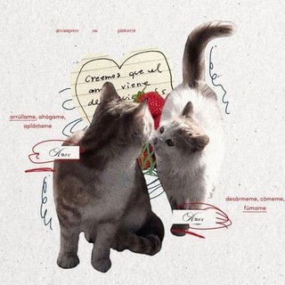 Telegram profile photo for muffin’s (‘05/11).