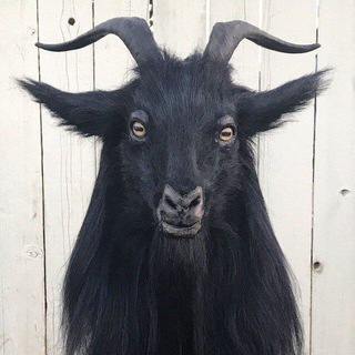 Telegram profile photo for G Shaba thinks+