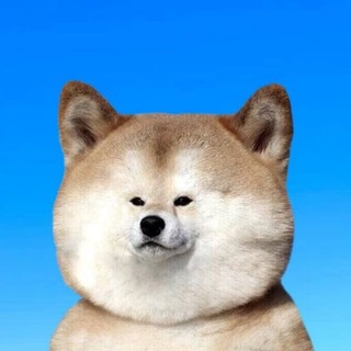 Telegram profile photo for minamium dyor